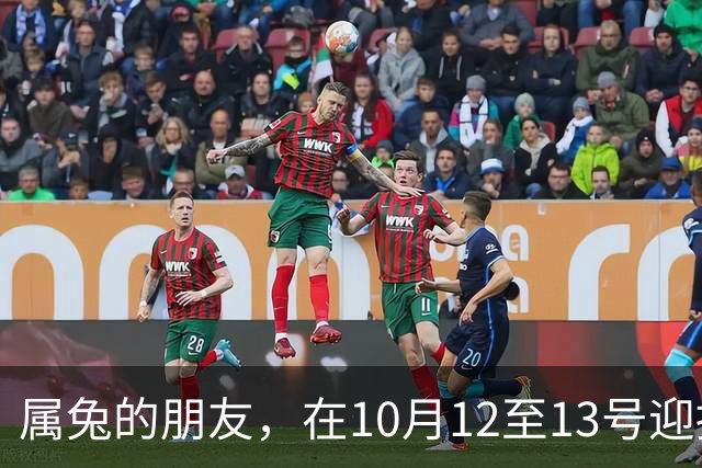 属兔的朋友，在10月12至13号迎接人际暖流